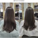 [광화문미용실] 더살롱아베다 하오니코 복구클리닉 후기: 내 머릿결이 돌아왔다!