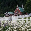 언덕위의집 이미지