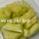 부산애견팡팡 | 부산 사상디저트 리수스과수원 사상점 (솔직후기,메뉴,가격) 애견동반가능