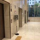 [글로벌1] 프랑스 대사관 어학센터와 함께하는 프랑스어 입문(A) | 주한 프랑스 대사관 어학센터 프랑스어 강의 후기