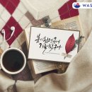 멋쟁이세탁 이미지