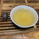 우림집투 이미지