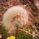 양지농장 이미지