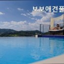 아름다운 애견 이미지