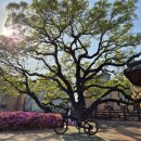 구진벌공원 이미지