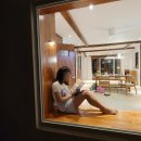 우아한 게으름 이미지