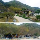 행화촌 이미지