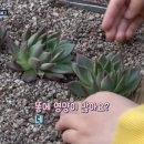 혜란농장 이미지