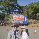 문경 오미자테마터널 이미지