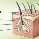 박순석동물메디컬센터 이미지