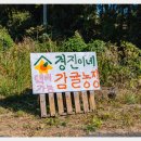경진이네감귤농장 - 서귀포시 번영로 3243 | 경진이네감귤농장 : 표선 감귤체험농장 금액할인이벤트 1월 5일까지네요