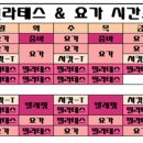 퀸즈필라테스 - 송파구 송이로 239 | 퀸즈필라테스
