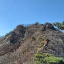 2026년4월11일(둘째일요일)제116차 정기 충남 공주 계룡산 산행안내 이미지