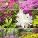 초막골 생태공원 이미지