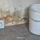 상향마을회관 경향신문