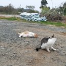 삼광가든 이미지