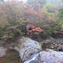 구마일주통나무산장 이미지