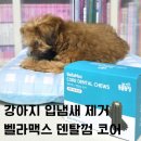 오복농장 | 강아지 덴탈껌 입냄새 제거 SBS TV 동물농장 벨라맥스 코어