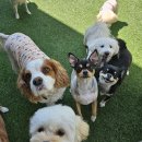 낙원유치원 이미지