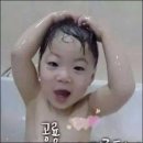 초은농장 이미지