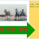 215해(解) 삼명통회 해독 11권 낙녹자 소식부 역마살 반안살 231p 이미지