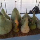 풍동농장 이미지