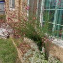 동녘농장 이미지