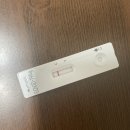 삼보프라자약국 | 열두달 중 제일 좋은 4월 🌸