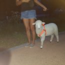 동무농장 이미지