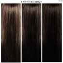 브라이트헤어 이미지