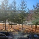 동진주공인중개사사무소 이미지