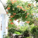 다라래 | 산복도로 카페 다라래