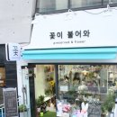 꽃이불어와 - 성남시 수정구 위례광장로 21-6 | 꽃이불어와