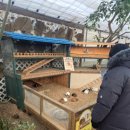 애니멀랜드 이미지