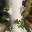 가든타워 이미지