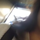 도투곳간 | [이천 고깃집] 고기맛집 '도투곳간'에서 삼겹살, 목살, 항정살 먹은 후기 (내돈내산)