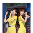 윙크 Daum카페