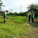 새마을농장 이미지