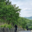 수룡봉황길 이미지