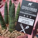 진전면837 이미지