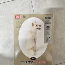 비BYC 이미지