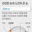 老眼은 자연스러운 것… 늦게 오게 할 수는 있다 이미지