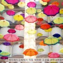 카페솔솔청주흥덕시니어클럽