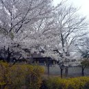 고려궁지 이미지