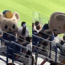 목 꺾이도록 세차게 밀고 모른 척...'극한직업' 야구장 마스코트 이미지
