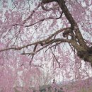 수양경로당 이미지