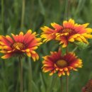 믿음,사랑,소망 이미지