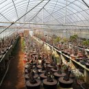 한솔농원 이미지