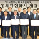 함백산메모리얼파크 이미지
