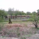 대문초교 이미지